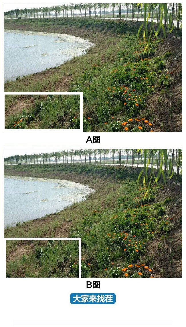 ��������Ҳ�-��82�ڡ�����֪������ʲô�õط��𣿲��أ�