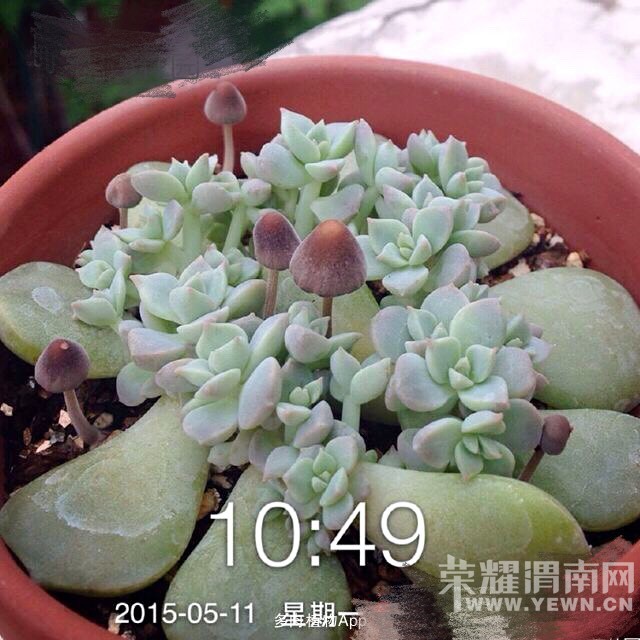 ����ɳ�����־�������ʹ��һ���������ĳɳ�����