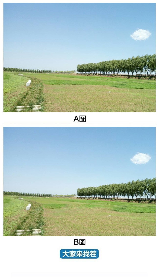 ��������Ҳ�-��84�ڡ�������ոо����������̶������ְ�