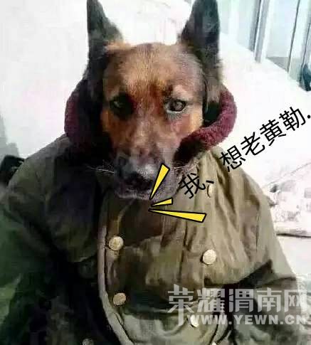 �Ի��ǣ�����������۴�μ�ϣ������±�������ڣ�