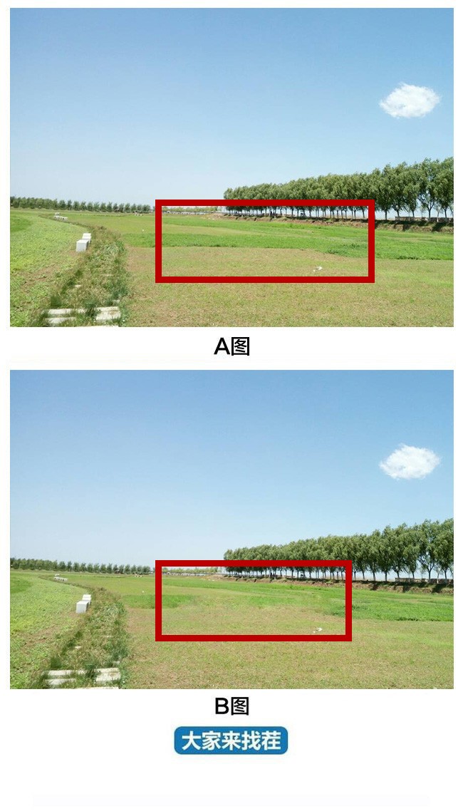 ��������Ҳ�-��84�ڡ�������ոо����������̶������ְ�