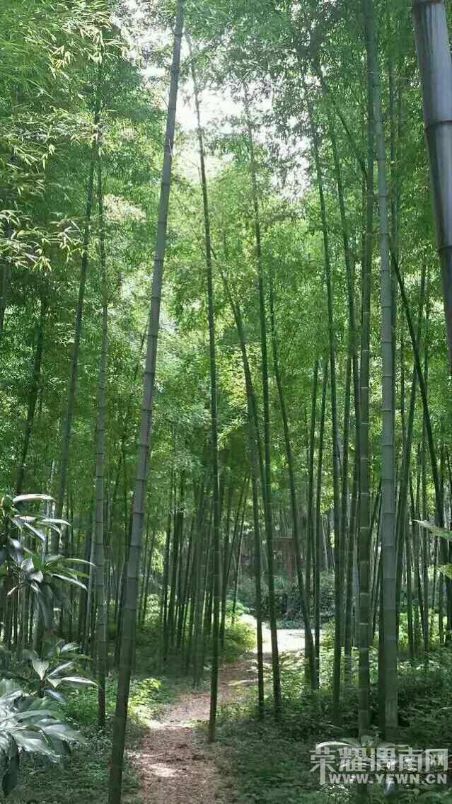 ��μ��ǧɽԽ���⡿5��21-22�մ�������������񺣡�����ˮ����Ӱ����������        