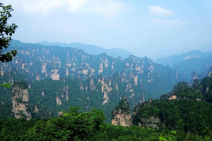 �����żҽ��Լ��ε���