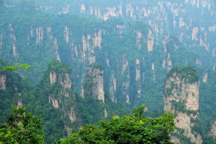 �����żҽ��Լ��ε���