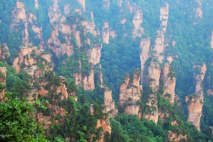 �����żҽ��Լ��ε���