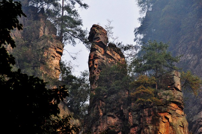 �����żҽ��Լ��ε���