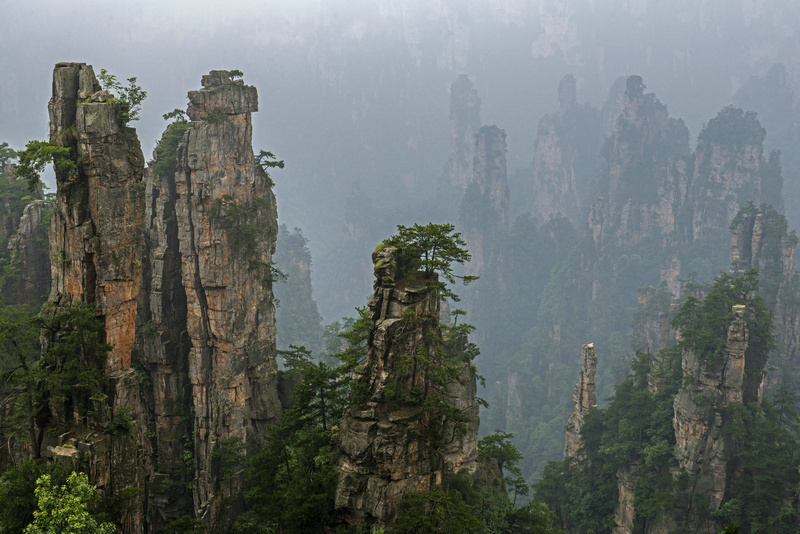 �����޵��żҽ�֮��