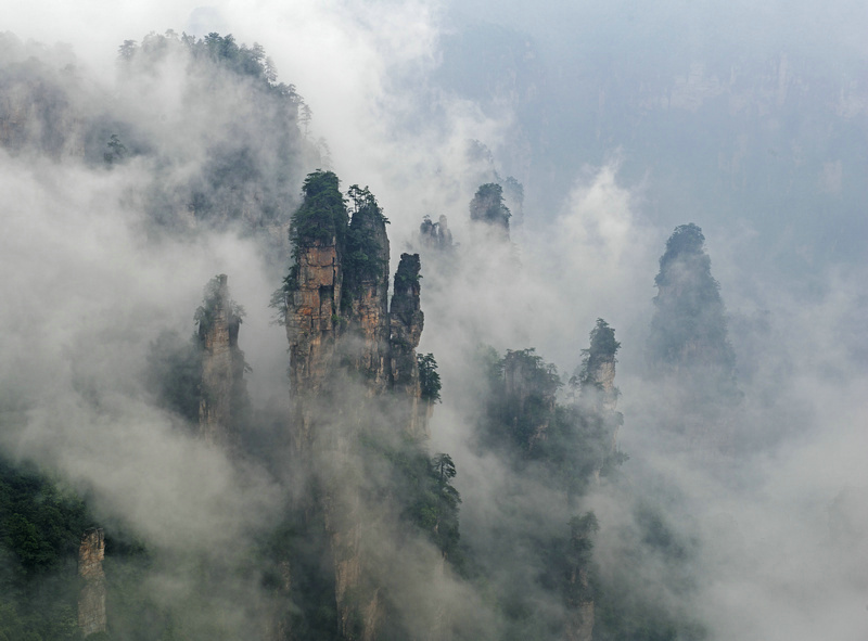 �����޵��żҽ�֮��