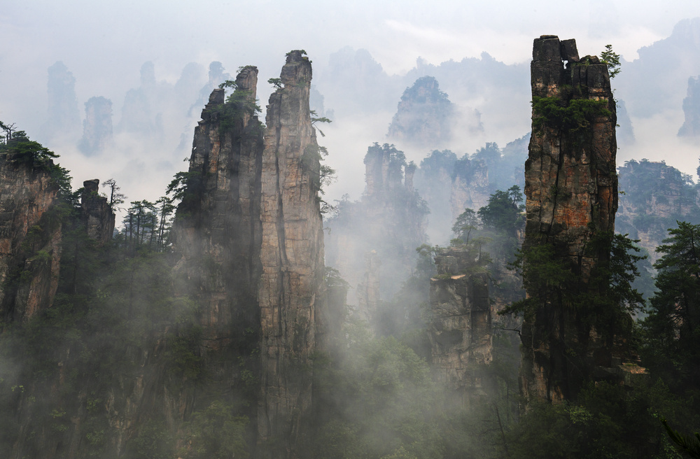 �����޵��żҽ�֮��