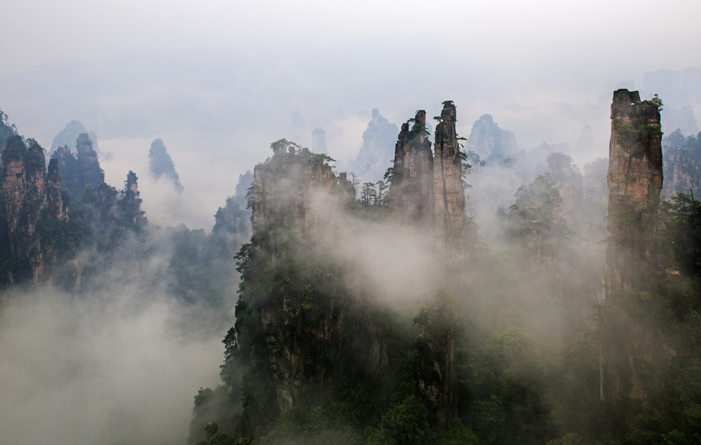 �����޵��żҽ�֮��