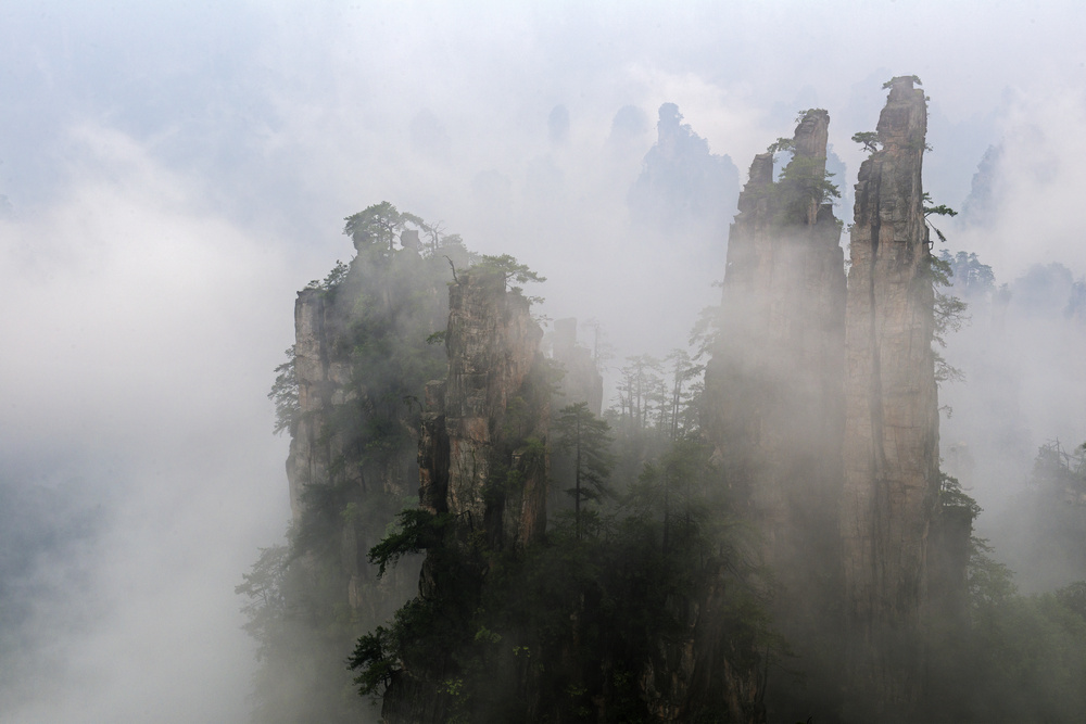 �����޵��żҽ�֮��