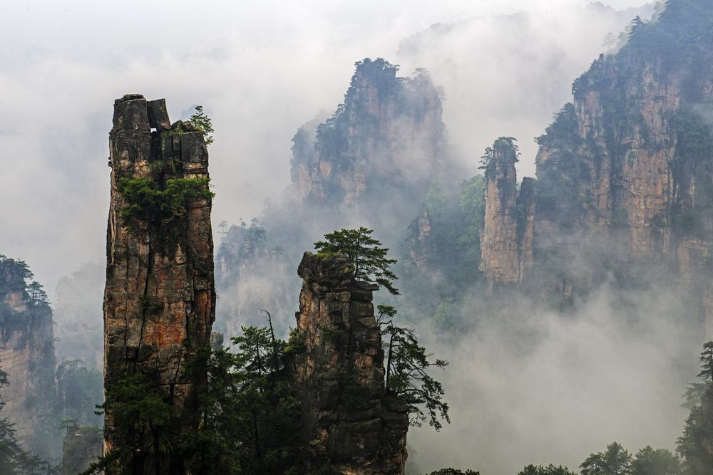 �����޵��żҽ�֮��