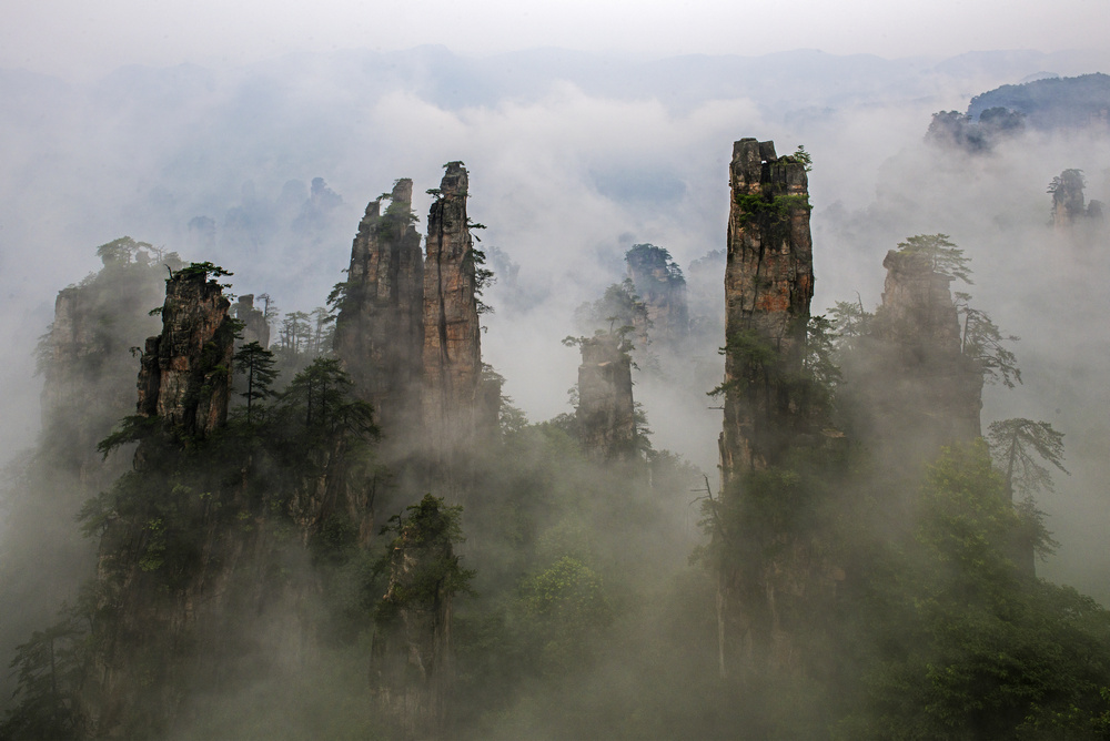 �����޵��żҽ�֮��