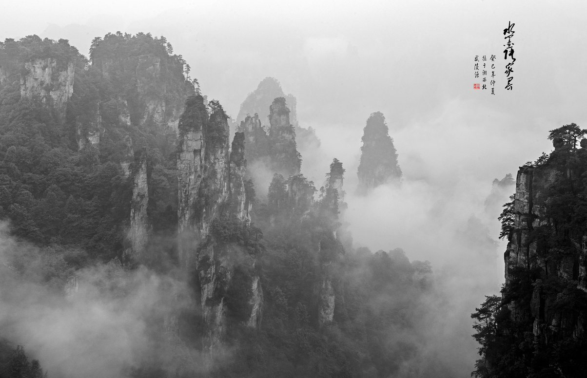 �����޵��żҽ�֮��