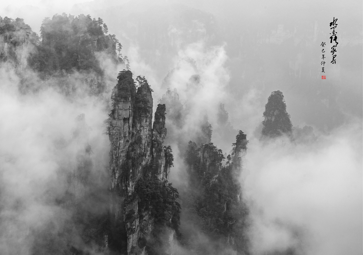 �����޵��żҽ�֮��