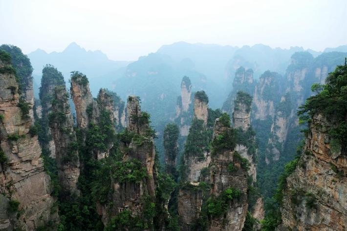 ��֮�żҽ硪���ҵĺ���������