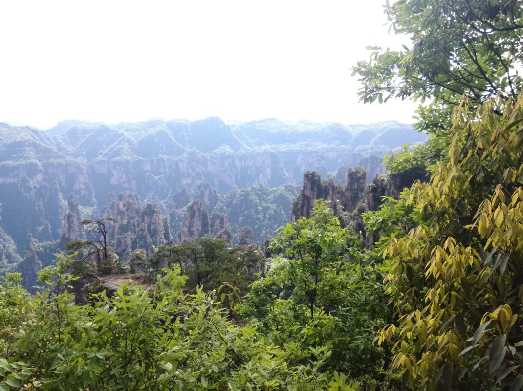 ��֮�żҽ硪���ҵĺ���������