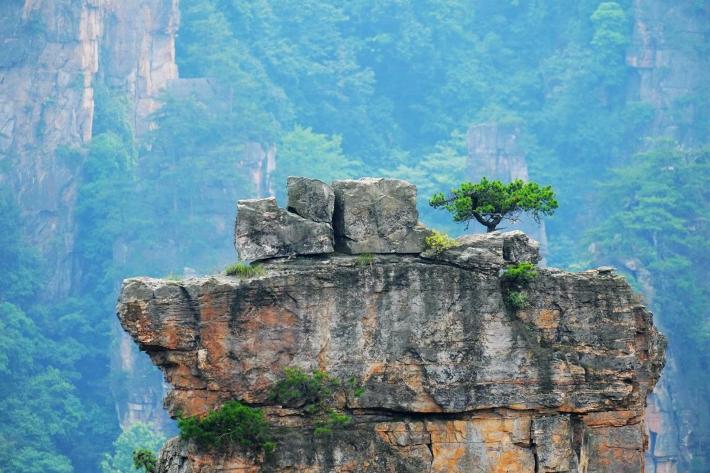 ��֮�żҽ硪���ҵĺ���������