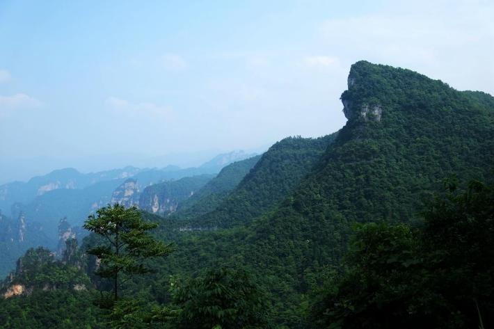 ��֮�żҽ硪���ҵĺ���������