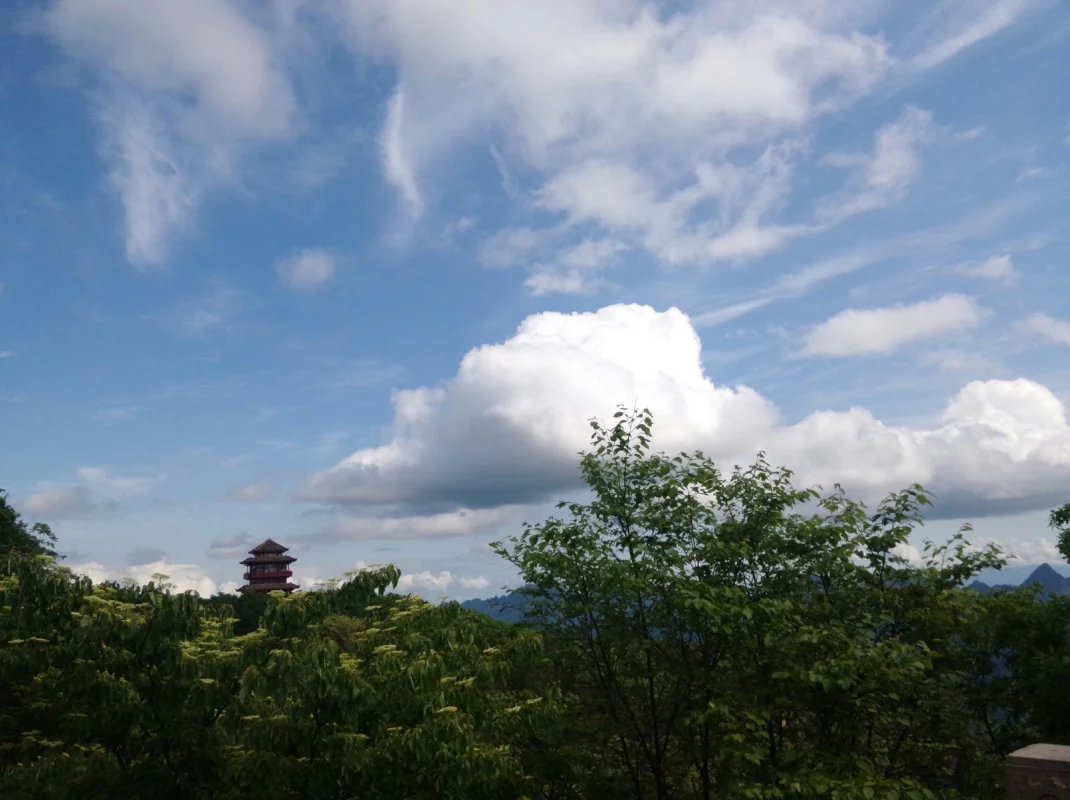 ��֮�żҽ硪���ҵĺ���������