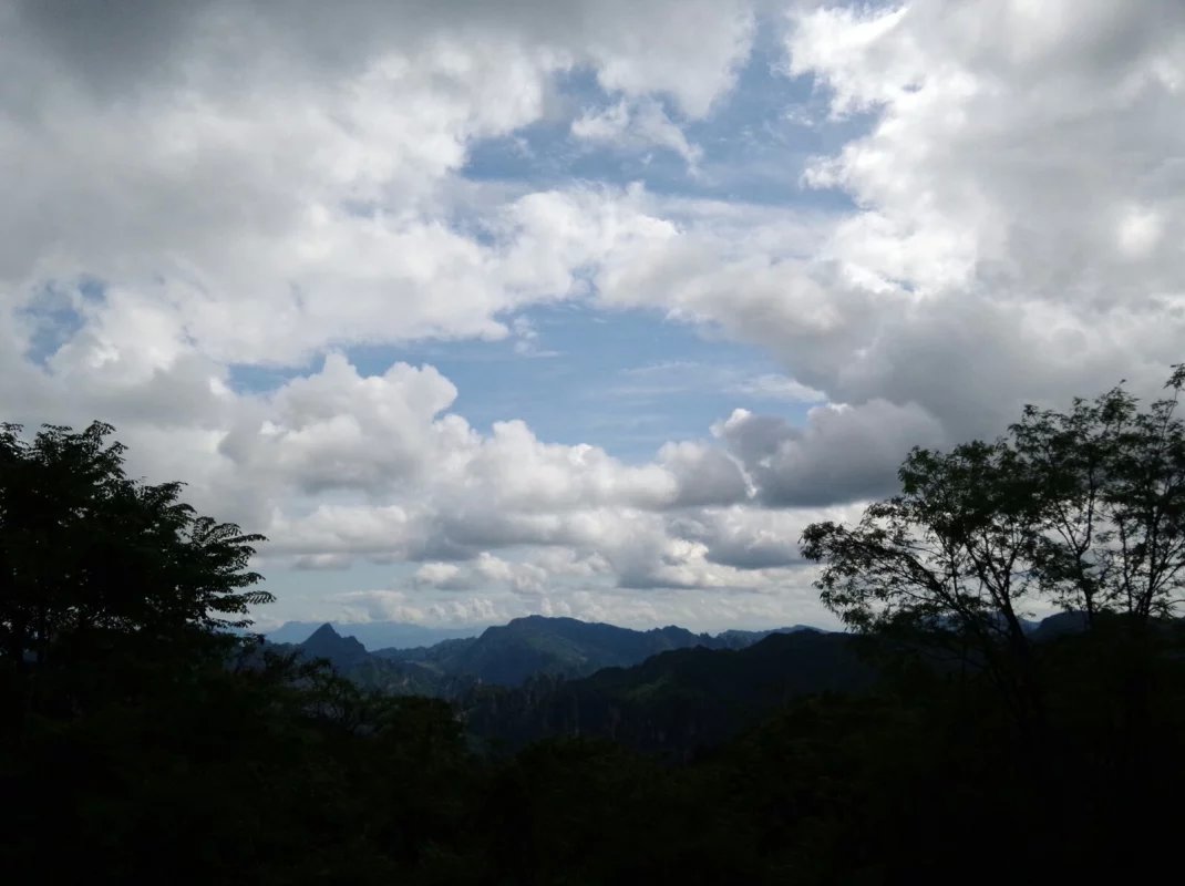 ��֮�żҽ硪���ҵĺ���������