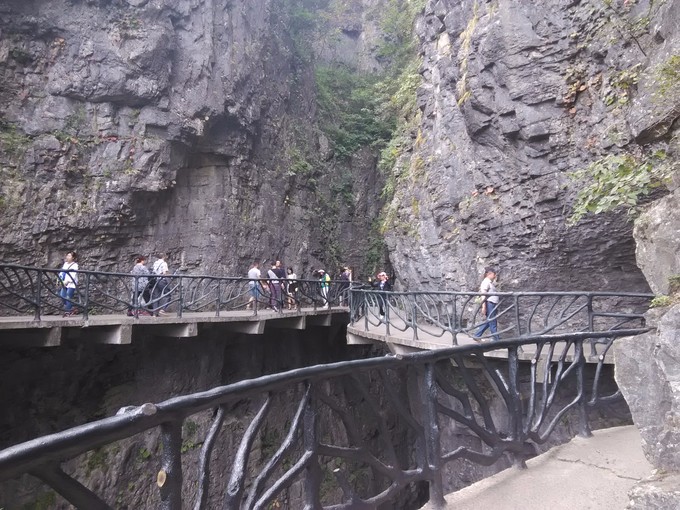 ��֮�żҽ硪���ҵĺ���������