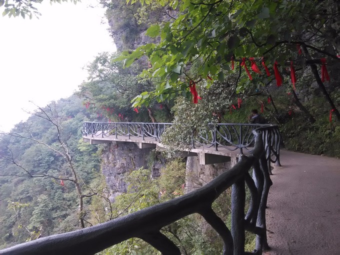 ��֮�żҽ硪���ҵĺ���������