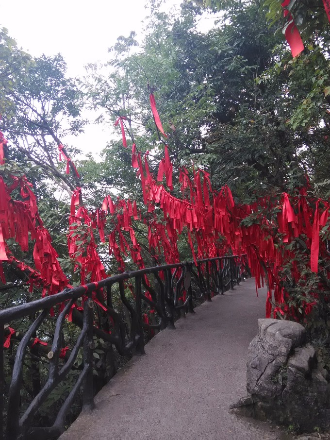 ��֮�żҽ硪���ҵĺ���������