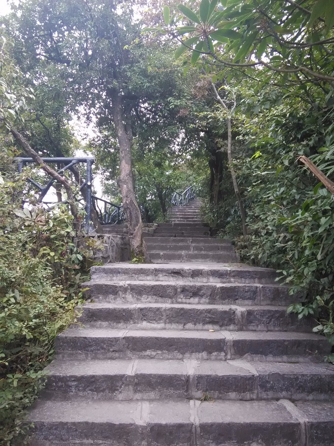 ��֮�żҽ硪���ҵĺ���������