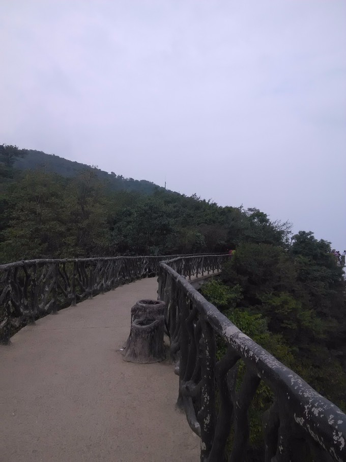 ��֮�żҽ硪���ҵĺ���������