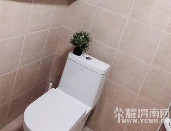 ����Ϊ��Щװ�޺��ޣ��ұ�ʾ�������⣬������ͨ�˻���ֵ��һ���ģ�