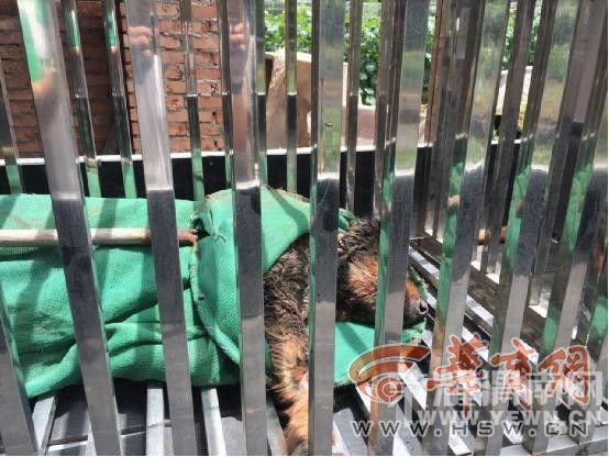 μ��һ������������� �Ż��� �񾯽����Ʒ�