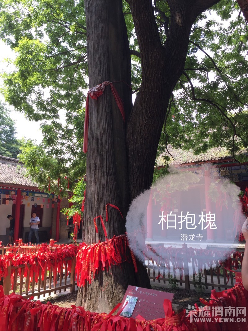 �ٻ�ɽ������ջ����һȦ������С��������Ҳ̫���˰ɡ���