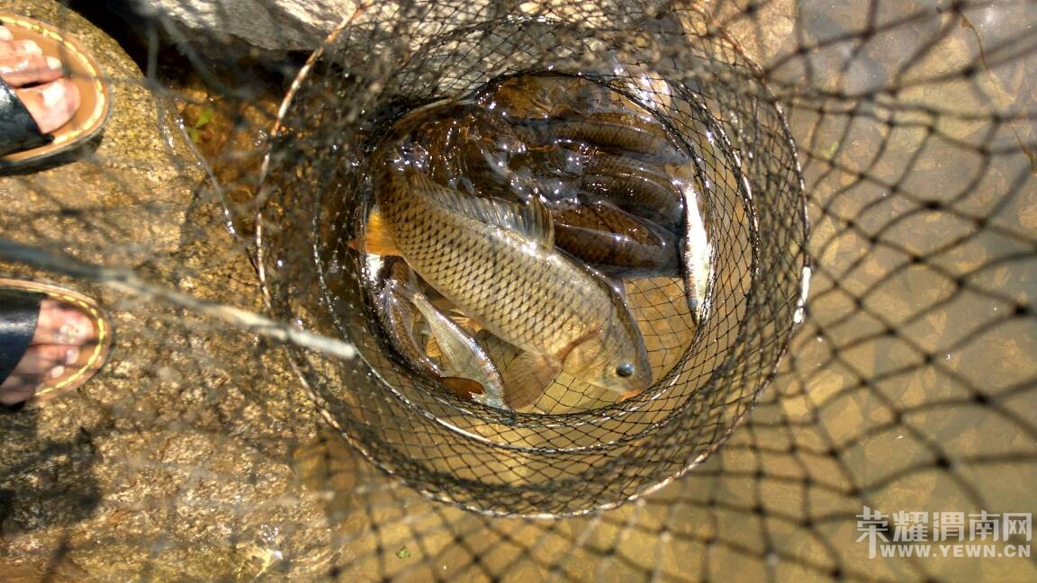 �����ȥɽ����㣬���ɹ��Ƥ�ˣ������ջ�ܷḻ��