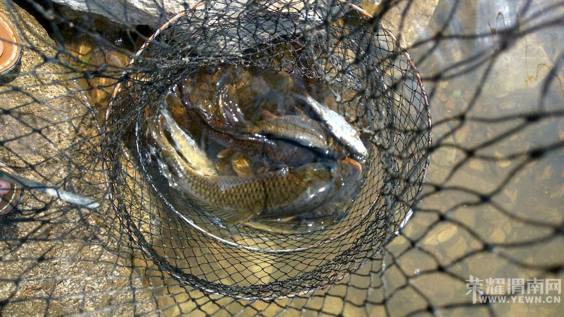 �����ȥɽ����㣬���ɹ��Ƥ�ˣ������ջ�ܷḻ��