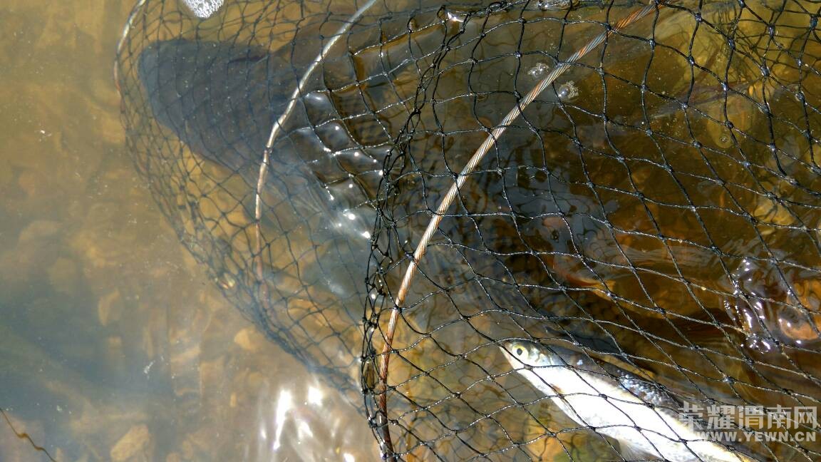 �����ȥɽ����㣬���ɹ��Ƥ�ˣ������ջ�ܷḻ��