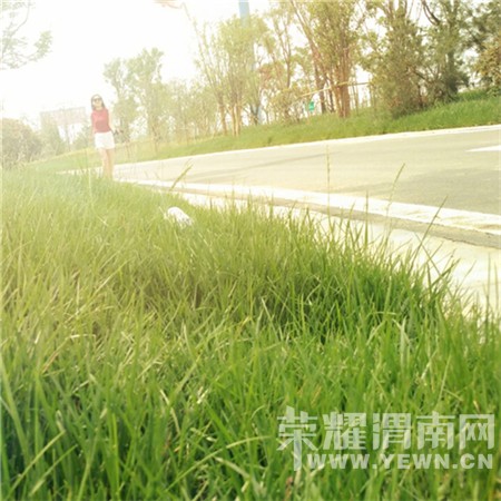 ����һ��Ҫ�����ī��!�����Ϳ������޼ɵ���ȥ�濩~