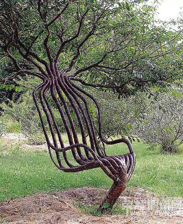 ������һ�����ӣ���󳤳���һ�Ѽ�ֵ2.5��Ԫ�����ӣ�