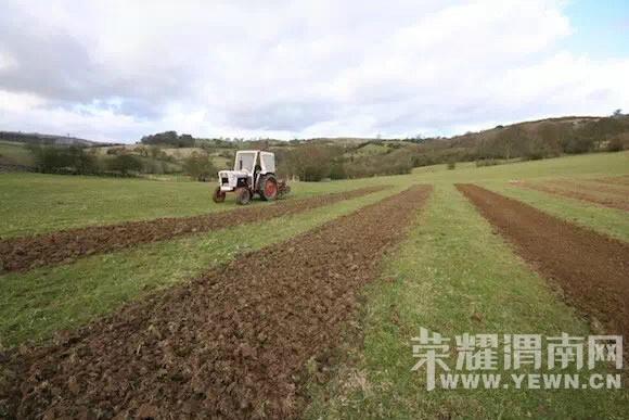 ������һ�����ӣ���󳤳���һ�Ѽ�ֵ2.5��Ԫ�����ӣ�