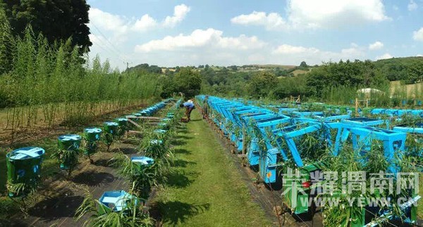 ������һ�����ӣ���󳤳���һ�Ѽ�ֵ2.5��Ԫ�����ӣ�