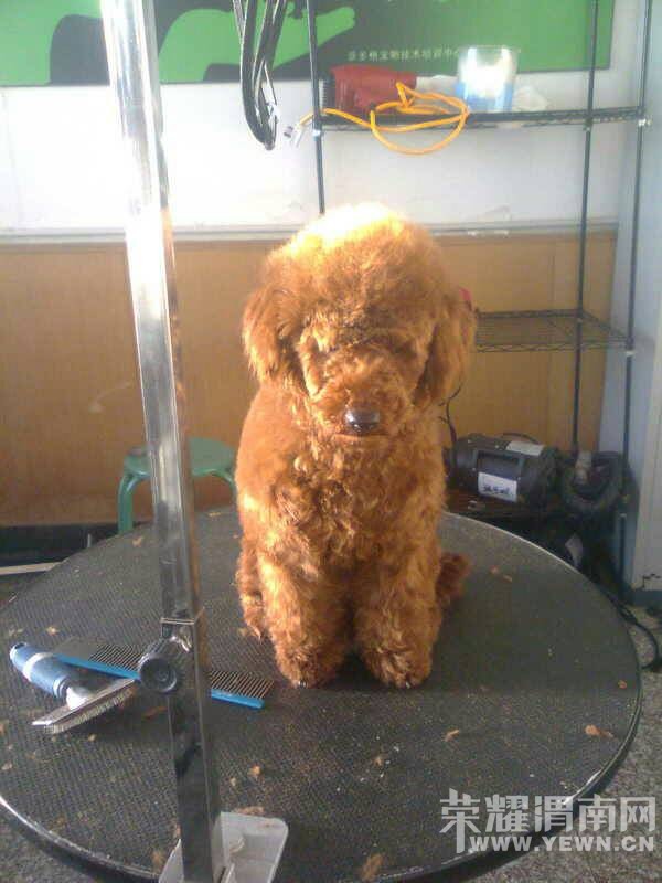 ��һ�ָ����ģ�����Ư���ˣ���������ëû��ֱ