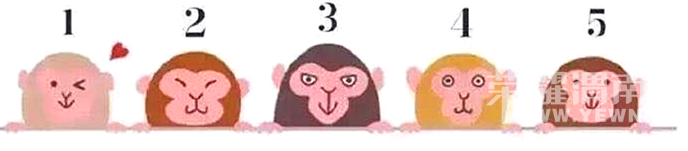 ��С����������Ϸ�������ȣ������ĸ����������ģ�����..���������ĸ���