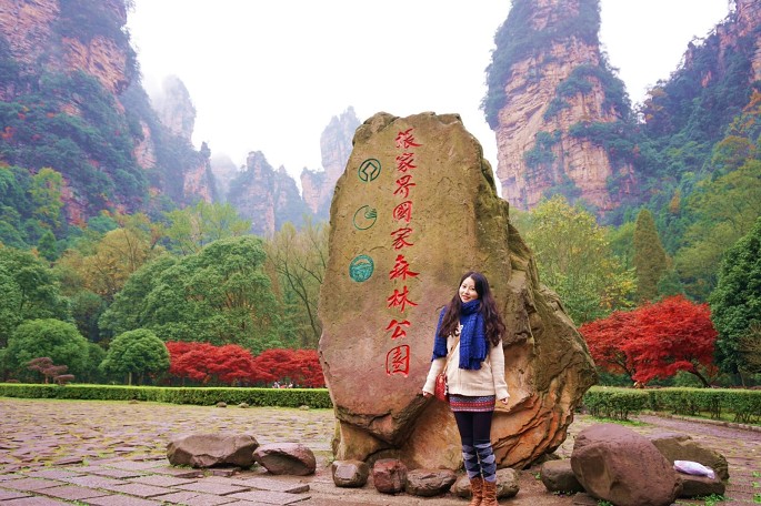 һ�γ嶯�Ĵ�����֮��  .  �żҽ��˵���Щ��