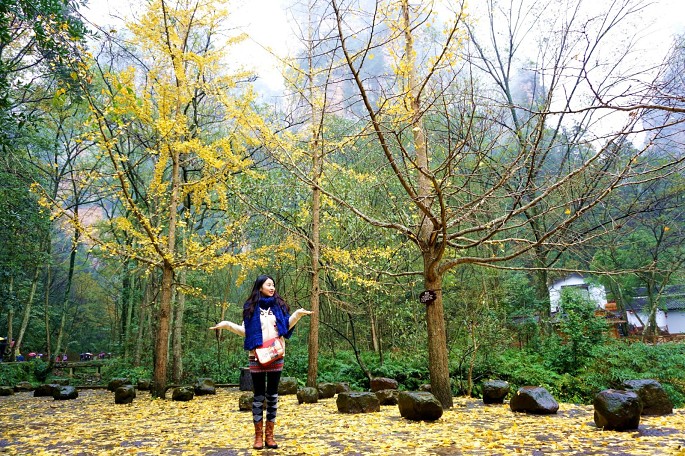 һ�γ嶯�Ĵ�����֮��  .  �żҽ��˵���Щ��