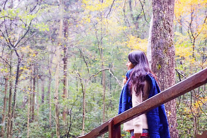 һ�γ嶯�Ĵ�����֮��  .  �żҽ��˵���Щ��