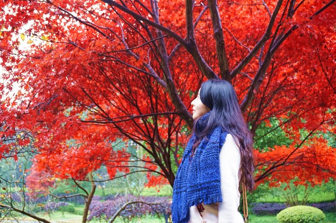 һ�γ嶯�Ĵ�����֮��  .  �żҽ��˵���Щ��