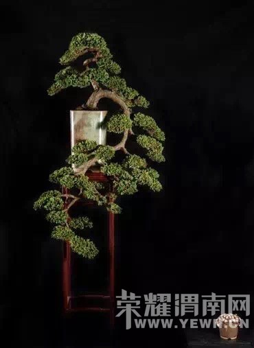 ����Ļ������Ե�ʫ!������ˮ����������˵�ľ��������