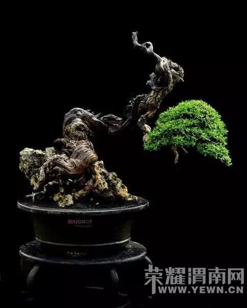 ����Ļ������Ե�ʫ!������ˮ����������˵�ľ��������