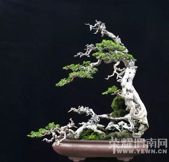 ����Ļ������Ե�ʫ!������ˮ����������˵�ľ��������