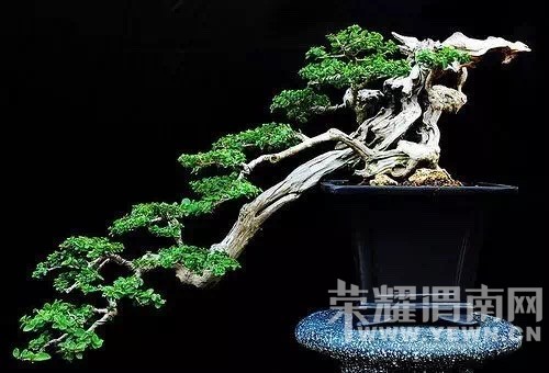 ����Ļ������Ե�ʫ!������ˮ����������˵�ľ��������